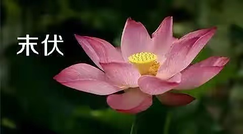 末伏這十天養生的黃金期，用粗鹽療法改善六種身體不適