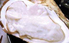 開殼的生蠔怎么吃(生蠔食用方法圖解)