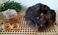 樺樹茸的功效與作用及食用方法(樺樹茸的