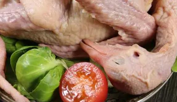 鴿子肉是發物嗎？鴿子肉什么人群不能吃？