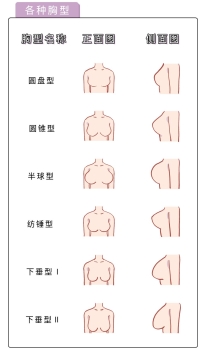 女人的胸長什么樣子？女人的胸是什么樣的？[圖]