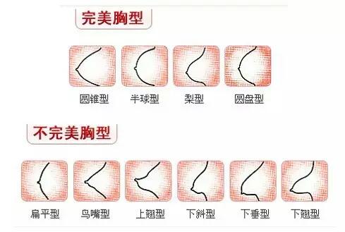 女人的胸長什么樣子？女人的胸是什么樣的？[圖]