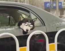 什么是有氧運動和無氧運動哪個減肥(三天