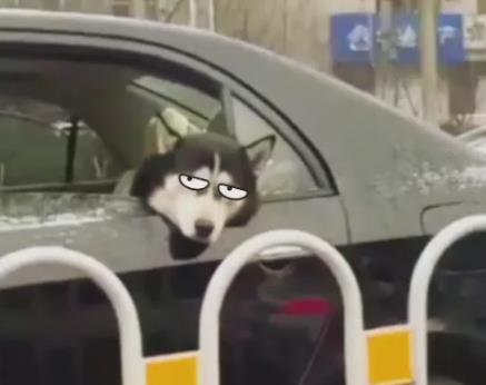人為什么會暈車？暈動病疾病定義