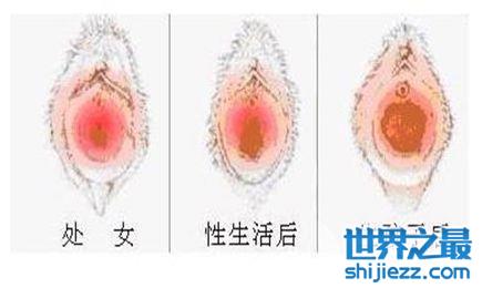 最真實的女人私長處啥樣圖片