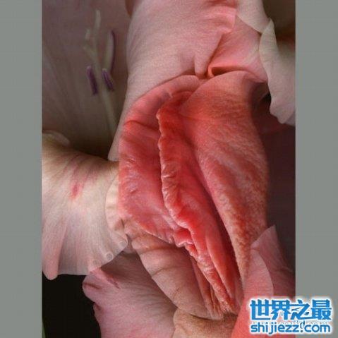 最真實的女人私長處啥樣圖片