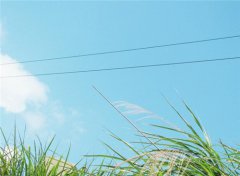 痔瘡秘方偏方_兩個治痔瘡民間秘方