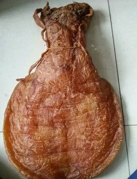 金錢鳘魚膠的功效