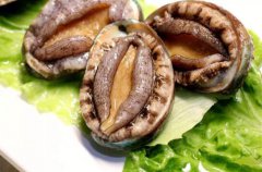 鮑魚蒸幾分鐘最嫩_鮑魚蒸好后咬不動