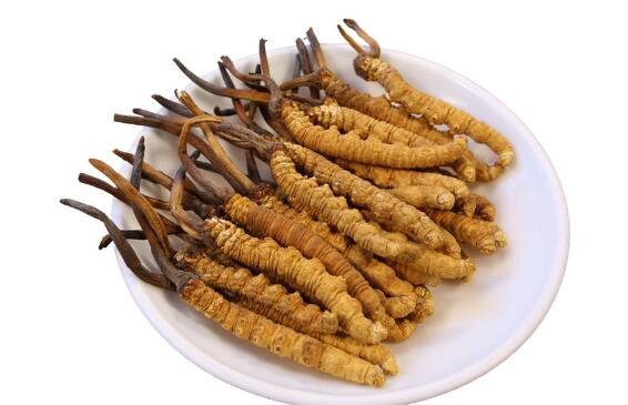 冬蟲夏草保存是冷藏好還是冷凍好_冬蟲夏草保存期多久