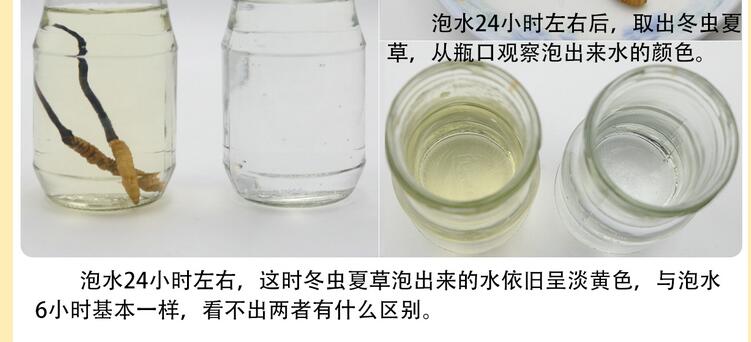 冬蟲夏草泡水是什么顏色才是真的_蟲草泡水變白色正常嗎