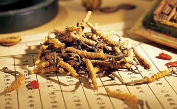 那曲蟲草哪個縣的好_那曲蟲草哪個產地好_那曲有幾個縣城蟲草