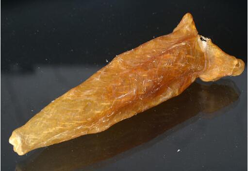 魚膠騙局?魚膠的真相是什么