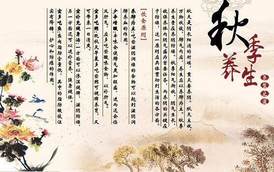 四季養生16句口訣中醫版是什么