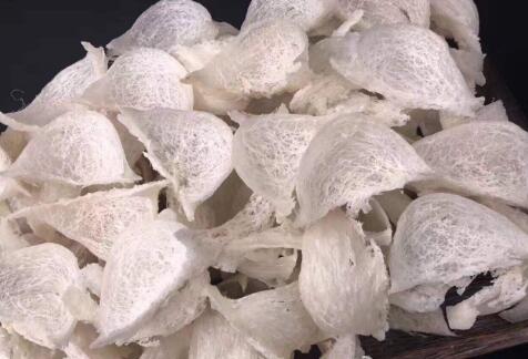 哪些女人不能吃燕窩，吃燕窩有哪些禁忌