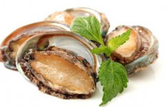干鮑魚好還是鮮鮑魚好，干鮑魚為什么比鮮鮑魚貴