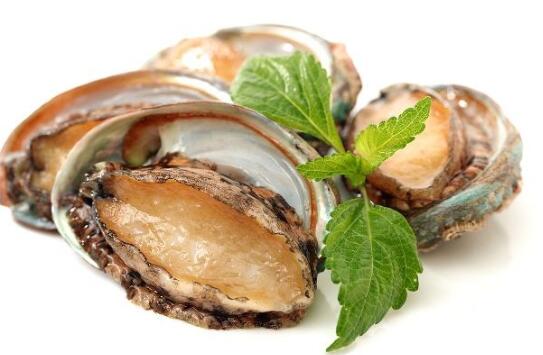 干鮑魚好還是鮮鮑魚好，干鮑魚為什么比鮮鮑魚貴