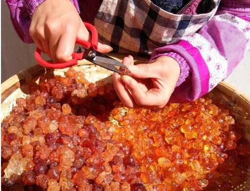 桃膠男人吃能壯陽嗎，男性吃桃膠對什么好處