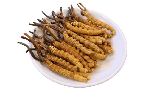 冬蟲夏草拋氣的特征是什么意思，冬蟲夏草的“拋氣”程度
