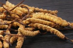 最好的冬蟲夏草什么價，冬蟲夏草的價格多少錢一克