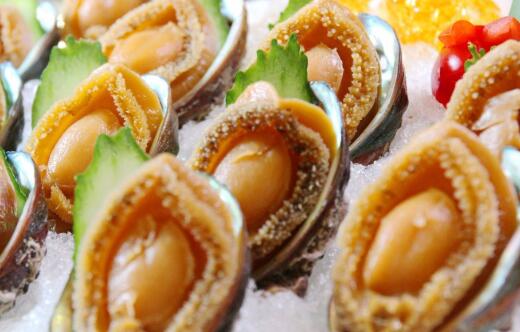 吃鮑魚的7個禁忌你不可不知,養鮑魚的人不敢吃鮑魚