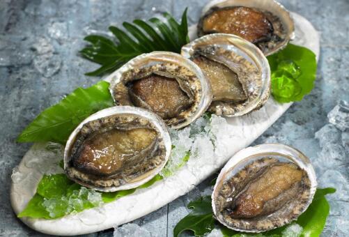 鮑魚養殖周期多長時間,養鮑魚一年能賺多少錢