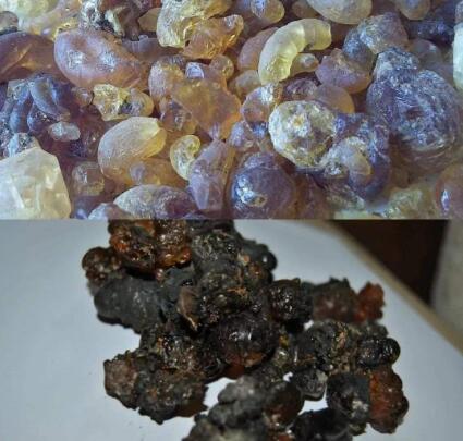 假桃膠泡發后圖片,假的人工桃膠煮了會怎樣