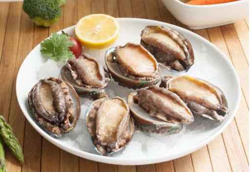 中國鮑魚的品種,中國鮑魚產地排名