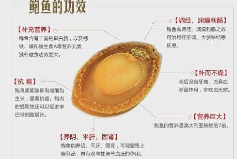 鮑魚無水可以活幾天,鮑魚買回家可以養多久