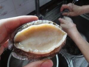 鮑魚的八種家常做法,鮑魚去內臟步驟圖片