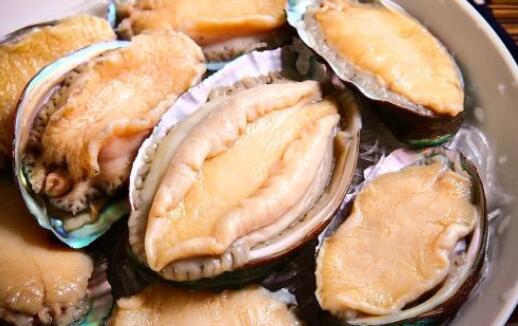 上呼吸道感染可以吃鮑魚嗎,鮑魚屬性寒還是熱