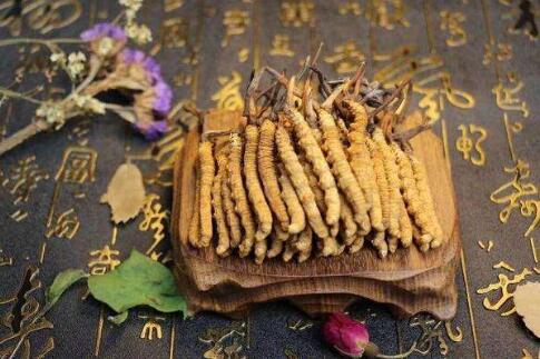 新鮮蟲草如何晾曬,蟲草為什么不能水洗