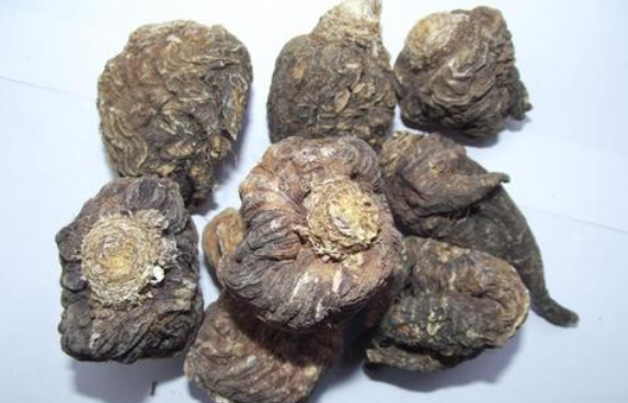瑪卡能提高性功能嗎，吃瑪咖片能不能治早射