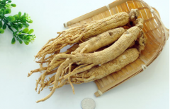 園參和林下參的區別，園參功效很差嗎
