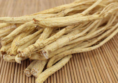 長白山人參功效與作用及禁忌，長白山人參可以泡水喝嗎