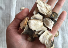 吃了瑪咖硬了三天,吃了瑪咖片后沒晨勃了