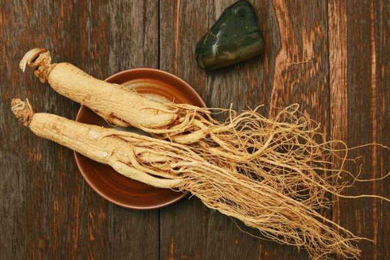 長白山人參種子種多久發芽,人參種子多少錢一斤