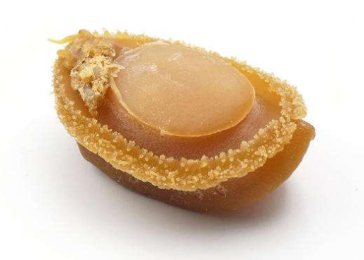 鮑魚為什么有好幾個孔，七孔與九孔鮑魚什么區別