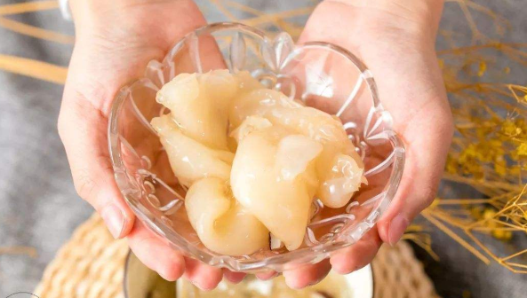 魚膠催乳吃多久才有效果,魚膠催乳做法