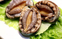 吃鮑魚可以壯陽嗎，鮑魚和生蠔哪個更壯陽