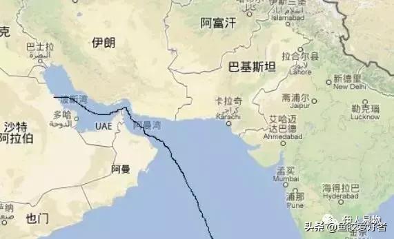 「魚膠產地」世界各地魚膠產地概括