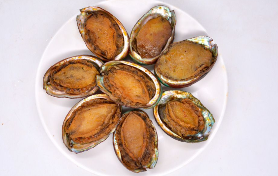 大連鮑魚和南方鮑魚的區別,廣東哪里鮑魚最出名