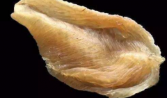 哪個牌子的魚膠是正宗的，新西蘭魚膠和國內哪個好