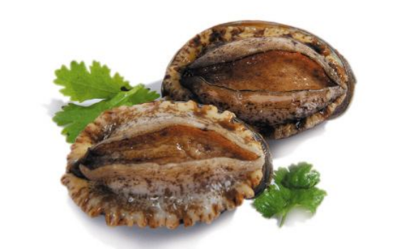 鮑魚可以煲烏雞湯嗎，鮑魚烏雞湯怎么煲竅門