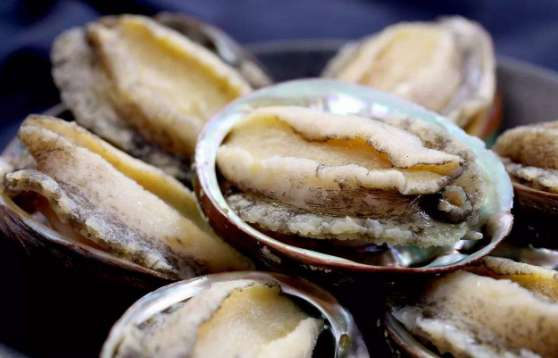 小孩喝鮑魚燉雞湯適合嗎，鮑魚烏雞湯的功效與作用