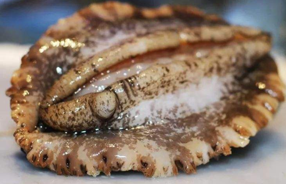 鮑魚需要焯水嗎，小鮑魚該怎么焯水