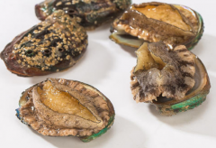 干鮑魚的口感是怎么樣的，什么樣的干鮑魚是品質好的