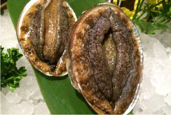 鮑魚的顏色是什么樣的好，鮮鮑魚壞了是什么顏色