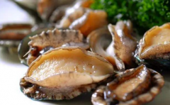 鮑魚雞湯怎么煲湯好喝竅門以及適合孕婦鮑魚湯有哪些