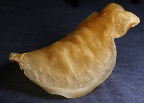 人參花膠雞湯的做法竅門以及孕婦能喝嗎